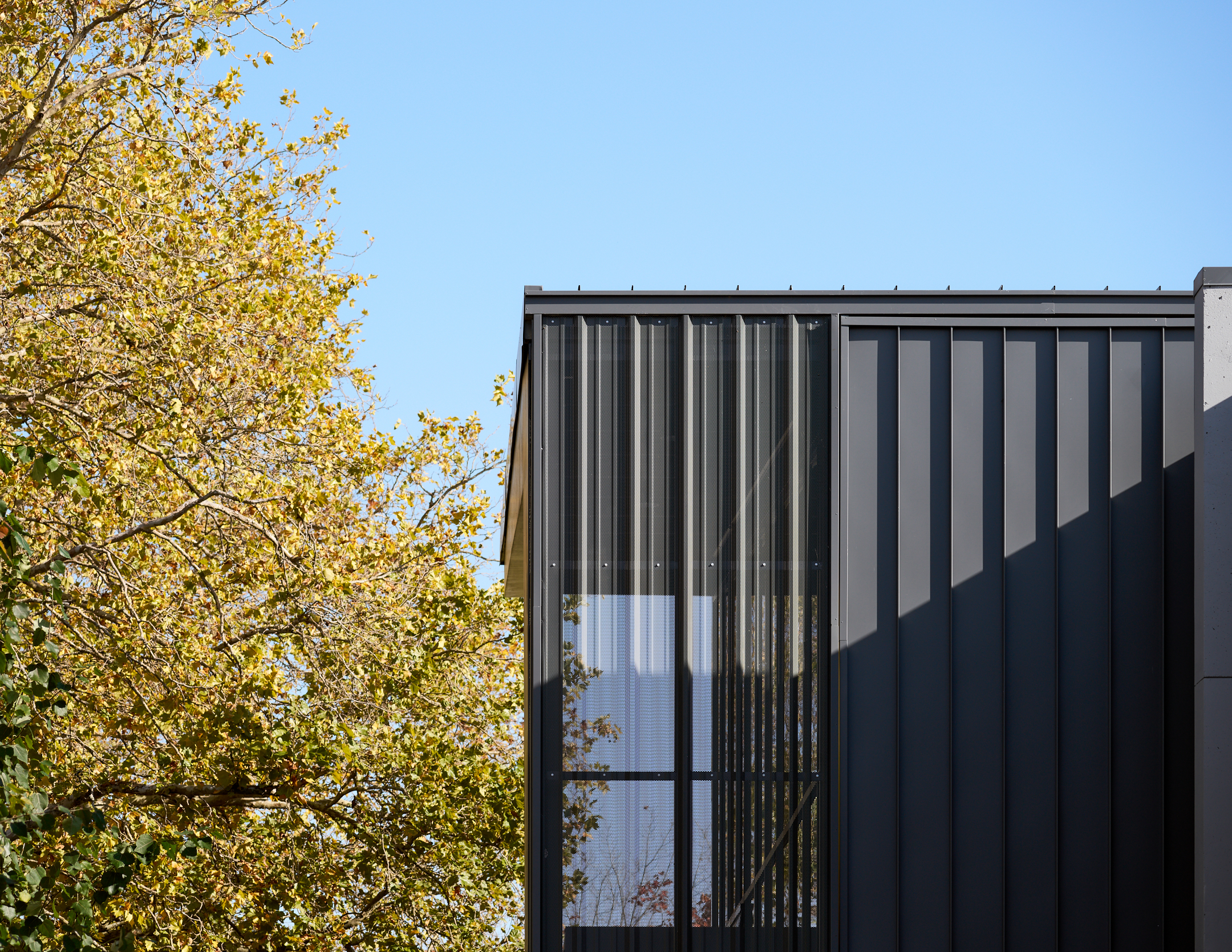 (c) Ross Eckert-Olympic College-016