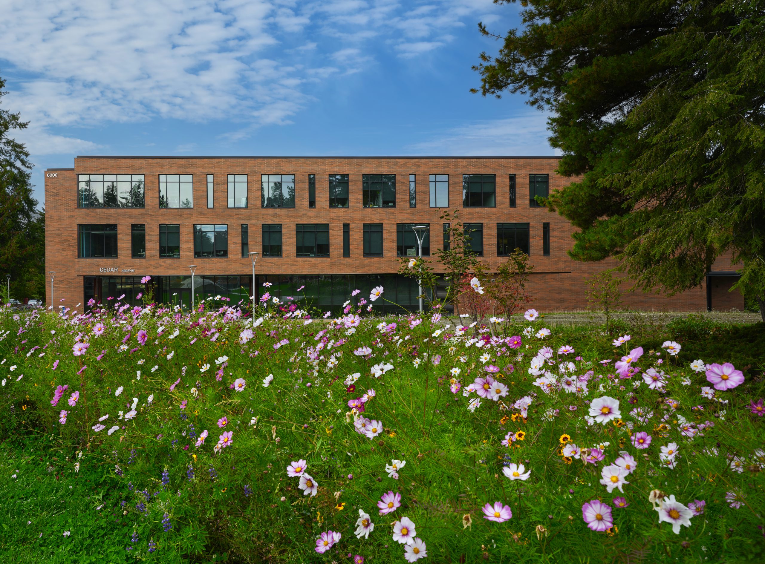 Cedar Building - Shoreline Community College