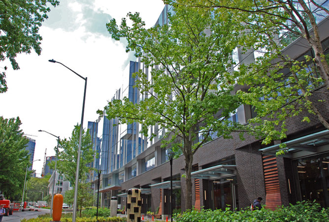 DSC_0307_Adjusted-thumb-668x452